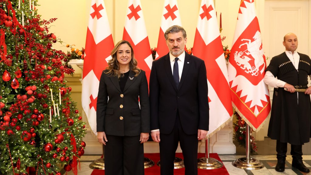 Resident and non-resident ambassadors of six countries present their credentials to President