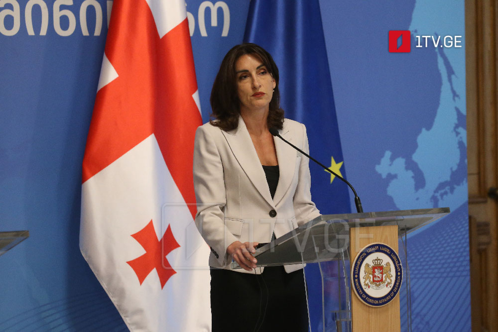 Georgian FM: Ukraine needs proper tools to secure compensation for war damage
