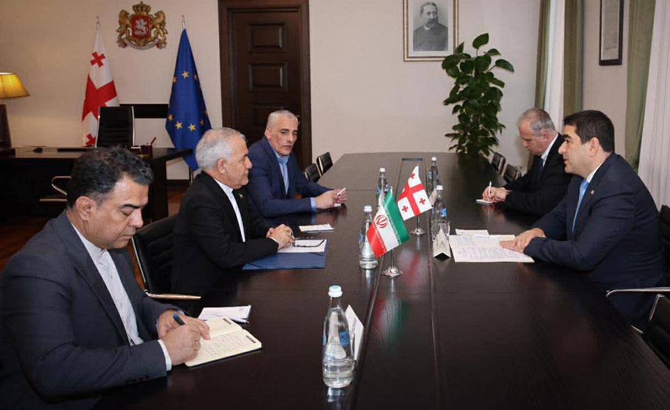 Շալվա Պապուաշվիլին հրաժեշտի հանդիպում է ունեցել Իրանի դեսպան Մահմուդ Ադիբի հետ