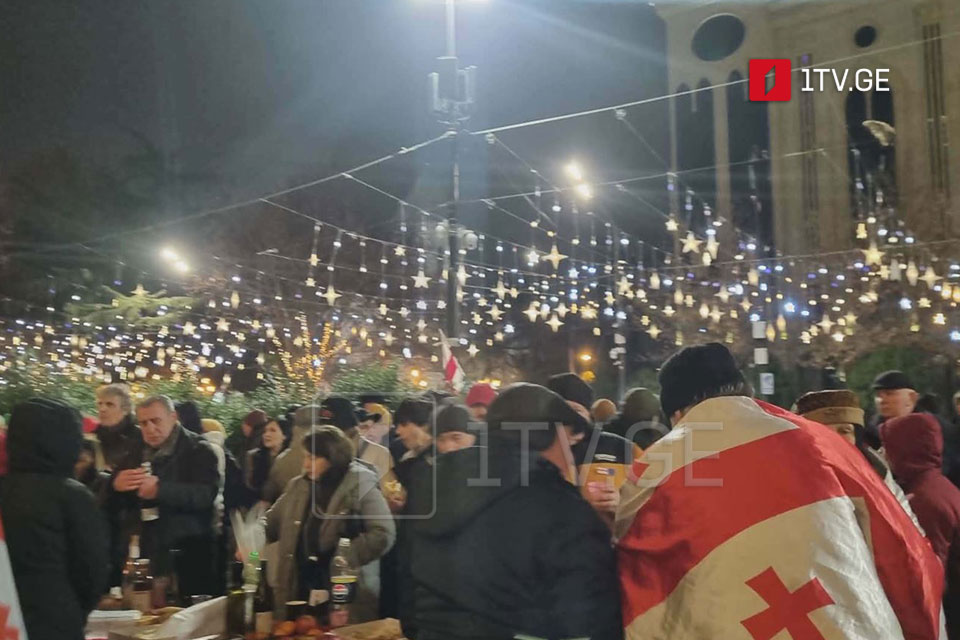 Protest rally participants to celebrate New Year at Rustaveli Avenue
