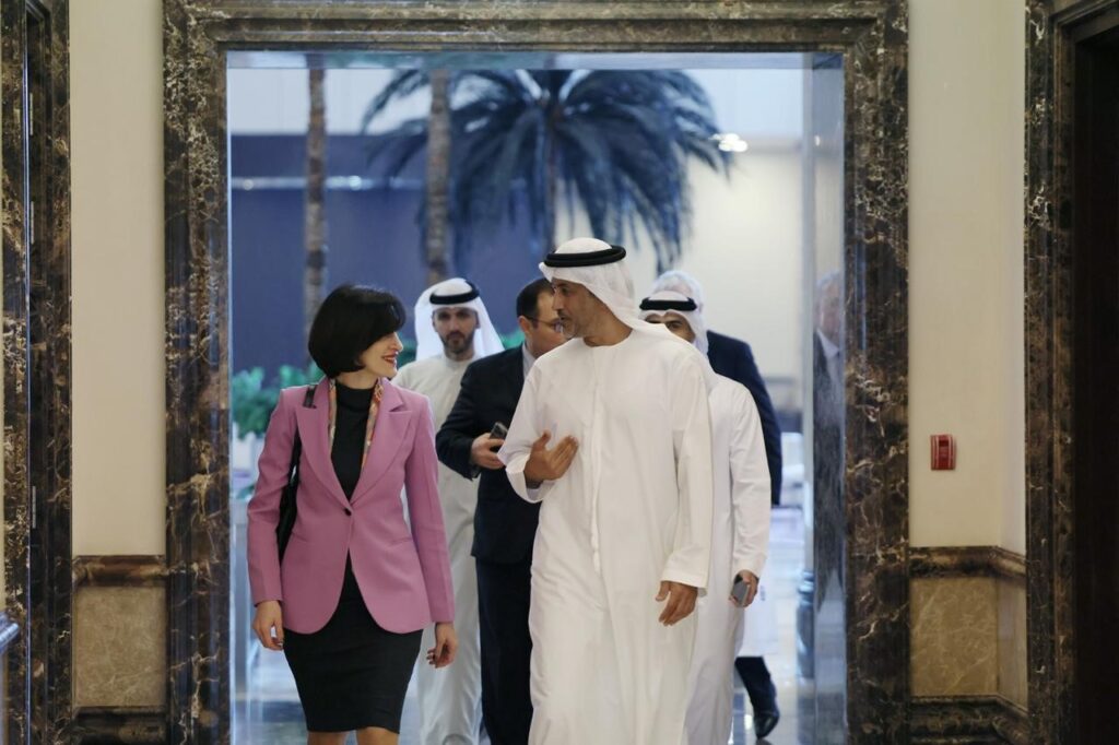 Georgian FM meets UAE counterpart