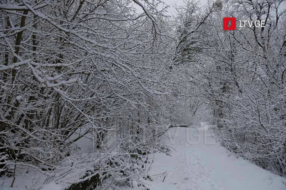 Persistent cold and intermittent precipitation forecast in Georgia until January 18