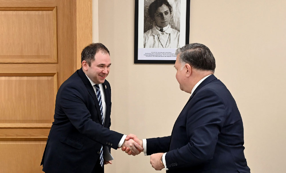 Foreign Relations Committee Chair meets Deputy FM of Bosnia and Herzegovina