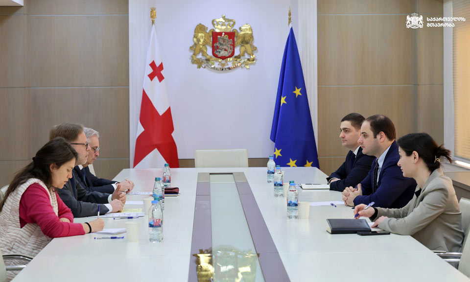 Head of Georgian Government Administration holds talks with French Ambassador