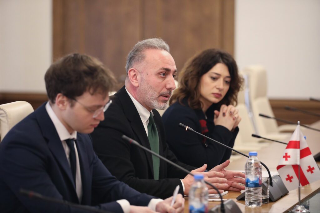 Gakharia for Georgia party meets with U.S. Congressional Staff delegation