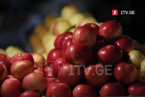 Министерство сельского хозяйства — Вместо субсидирования нестандартных яблок поддержка направляется на создание современных садов
