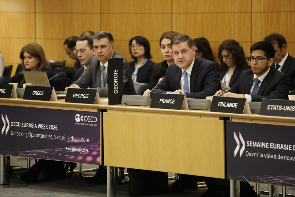 Deputy Economy Minister: Georgia maintains liberal and predictable trade regime in region, creating solid foundation for long-term investments