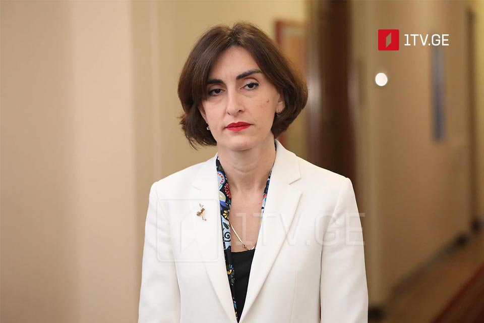 FM: Georgia ready to resume talks with U.S. on cooperation in line with interests of both countries