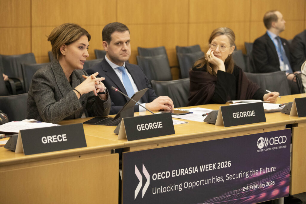 Deputy Economy Minister: Middle Corridor must function as single system; Georgia is now pivotal link