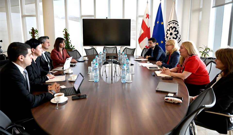 NBG President meets Visa's regional president