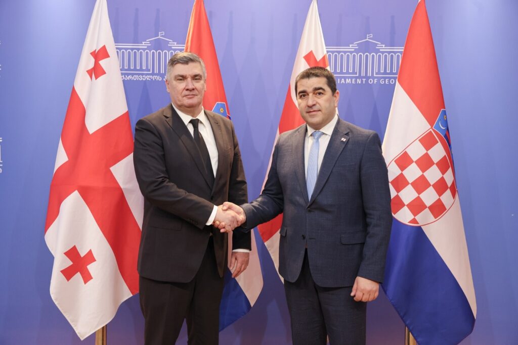 Շալվա Պապուաշվիլին հանդիպել է Խորվաթիայի նախագահի հետ