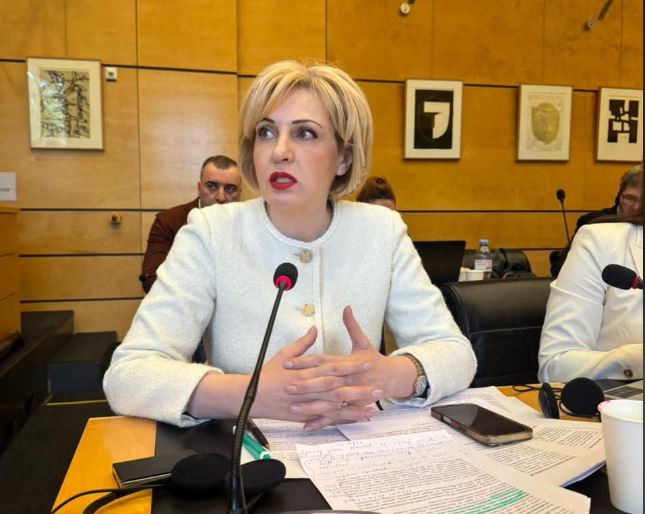 Eka Sepashvili addresses UN Committee on Economic, Social and Cultural Rights session