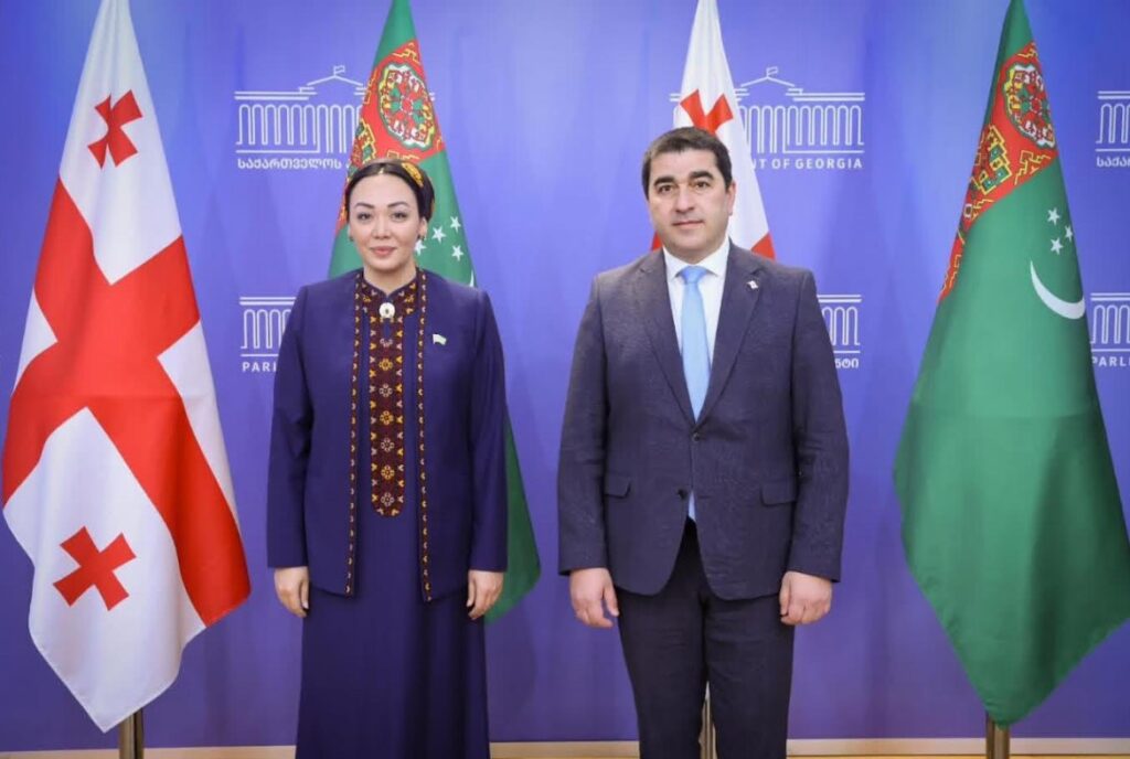 Georgian Parliament Speaker hosts Turkmenistan’s Mejlis Chair