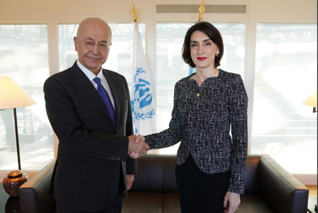 Georgia's Foreign Minister meets UN High Commissioner for Refugees