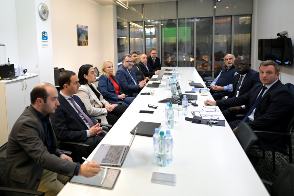 NBG President meets with IMF Technical Assistance Mission
