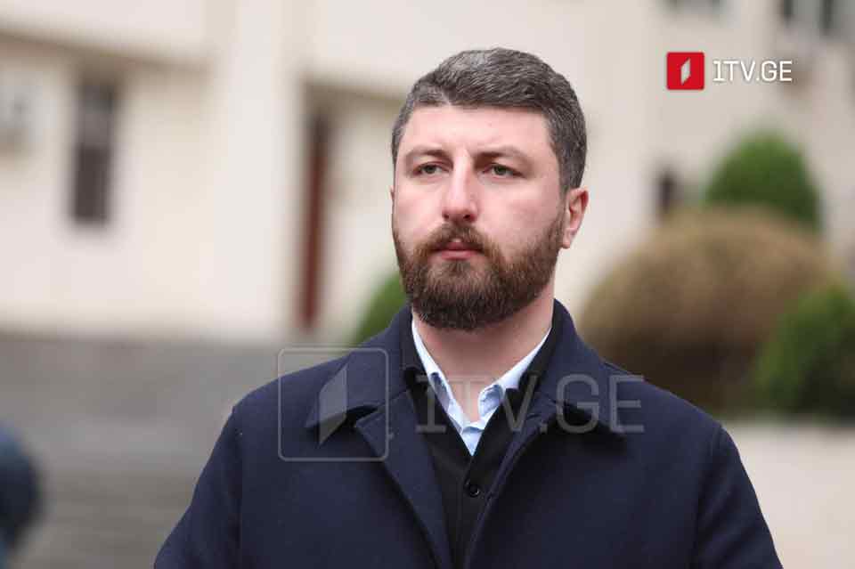 Georgian people will never support agent again, GD MP Gorduladze stated