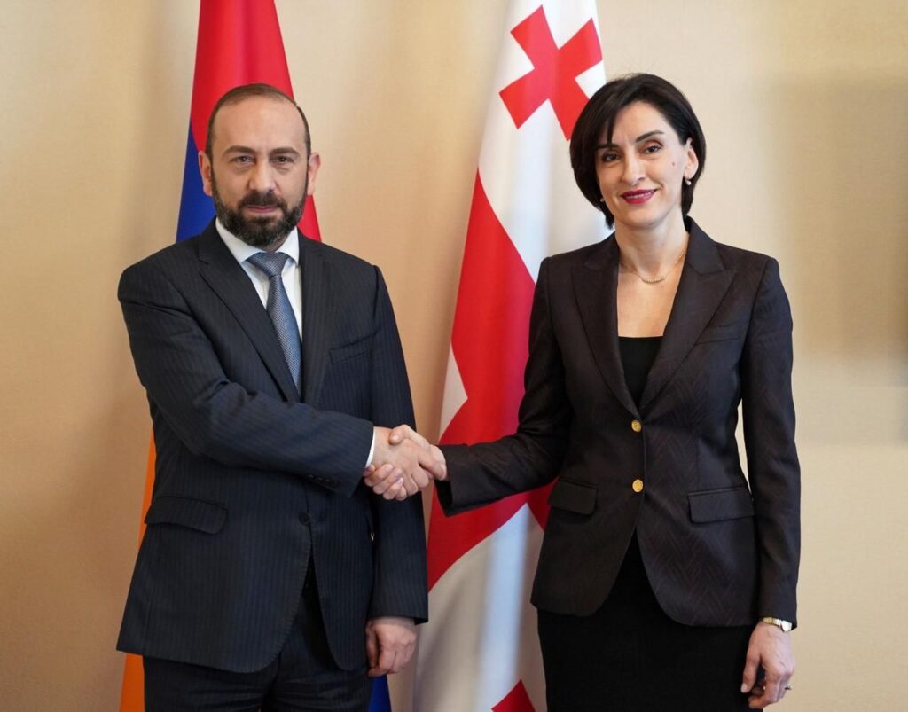 FM Botchorishvili holds talks with Armenian Foreign Minister