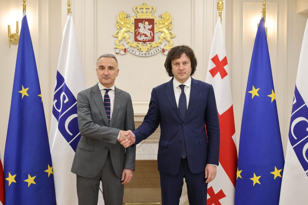 Иракли Кобахиӡе ОБСЕ Апарламенттә ассамблеиа ахада диҧылеит