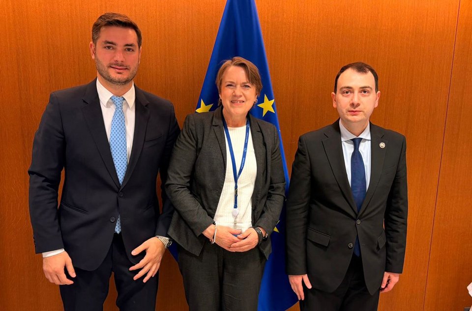 Georgian parliamentary delegation continues meetings in Strasbourg