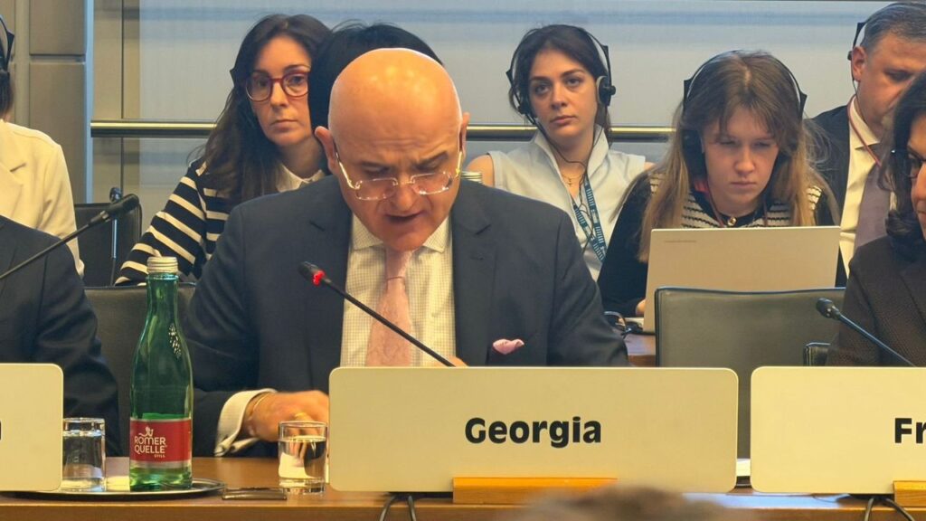 Georgian MFA publishes statement by Permanent Representative on OSCE Fact-Finding Mission report