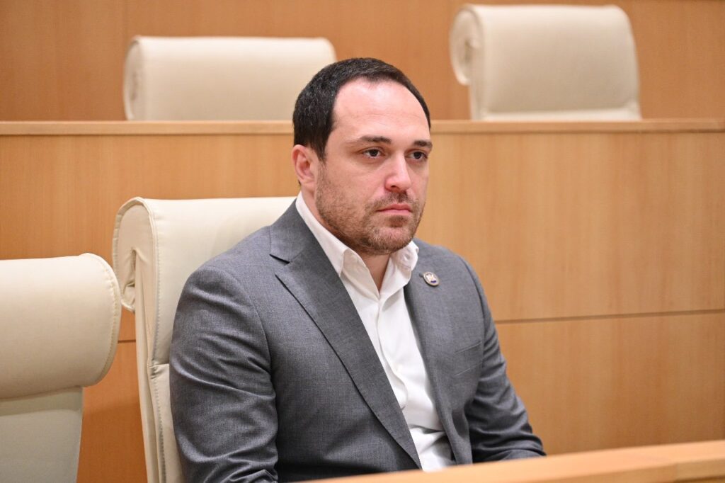 Culture Committee Chair slams German, EU Ambassadors for involvement in political process, financing protests