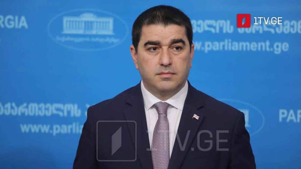 Speaker Papuashvili: Radical groups’ issue is with Constitution, not government; violators are calling for dialogue