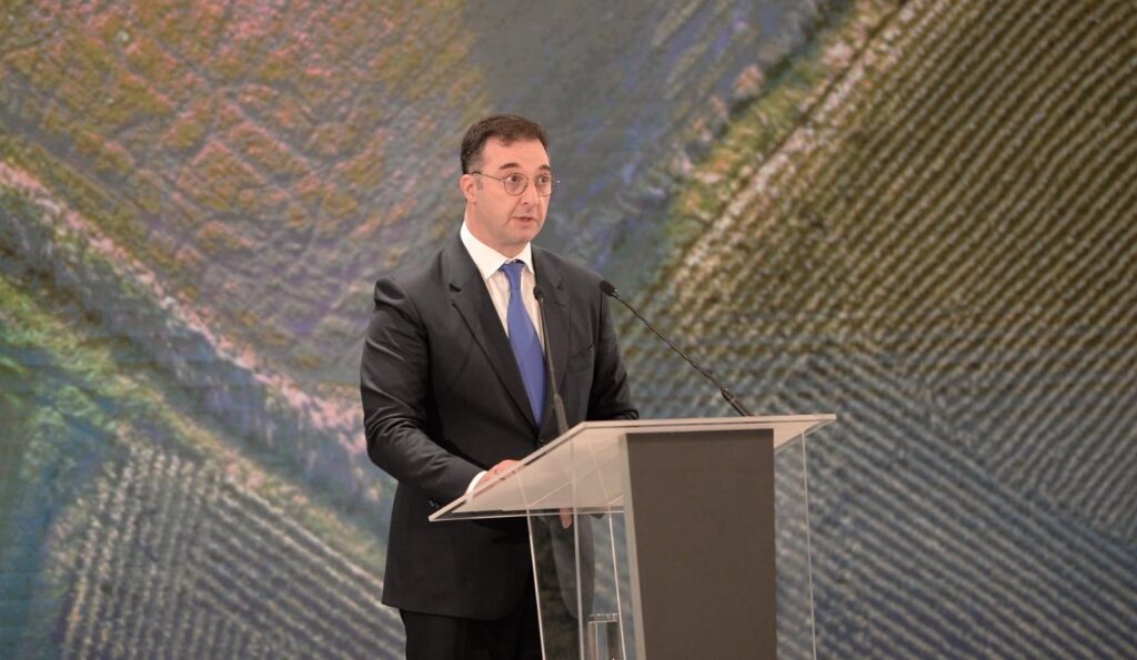Agriculture Minister: AgroIndex trend shows Georgia's agricultural sector is developing steadily year on year