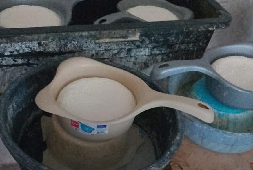 National Food Agency identifies illegal milk processing operations in Sighnaghi, Vani, Sachkhere, and Batumi