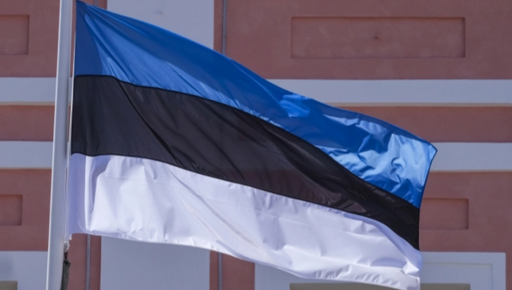 Estoniyanın Təhlükəsizlik Xidməti - Rusiyanın sərhədindən Estoniyanın hava məkanına daxil olan və elektrik stansiyasının bacasına çırpılan dron Ukraynaya məxsusdur