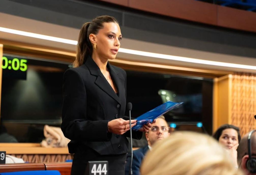 Sakrebulo’s Nino Vardosanidze: Assessments, requests reflected in resolution not in line with opinion, interest of Georgian people, state