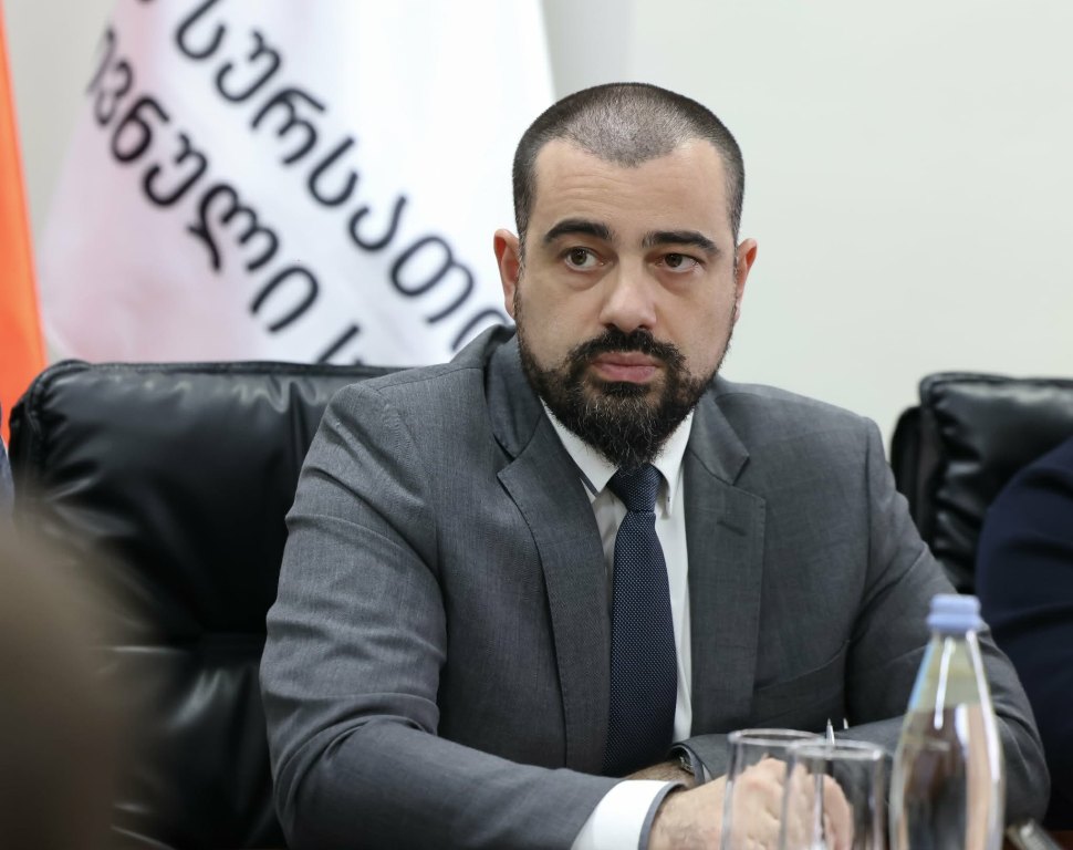 Deputy Agriculture Minister: 12 of 29 neutered animals to return to Zugdidi today; remaining 17 expected this evening or tomorrow morning