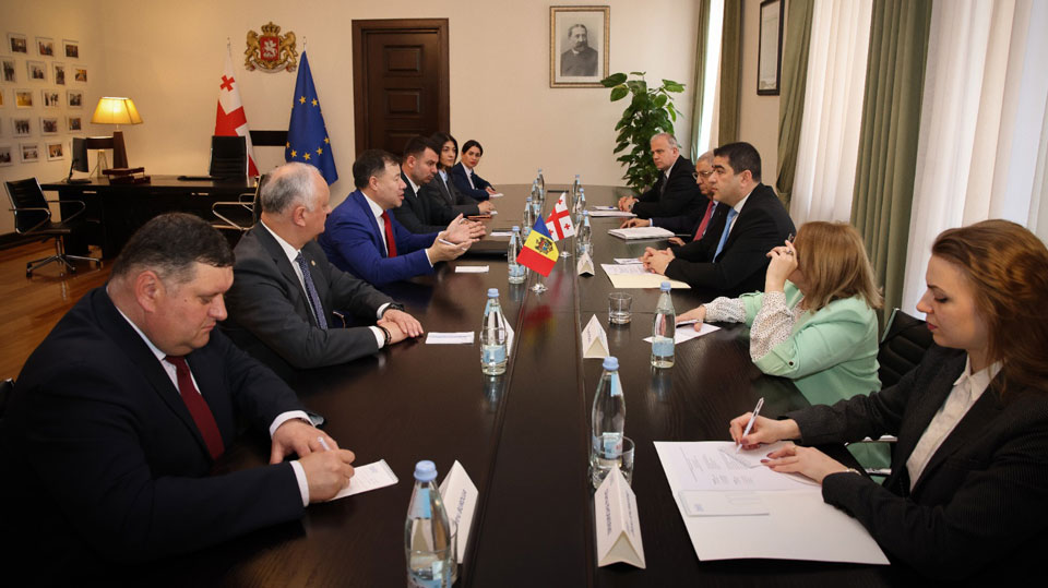 Шалва Папуашвили фембæлд Молдовайы парламентон делегациимæ