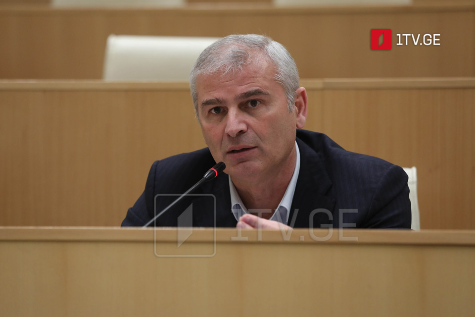 GD's Kadagishvili: Ukrainian authorities sheltering individuals who committed multiple crimes in Georgia