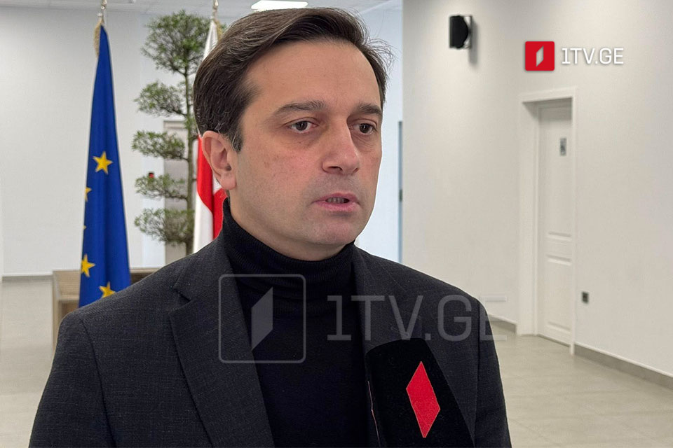 Georgian Public Defender meets CoE Human Rights Commissioner