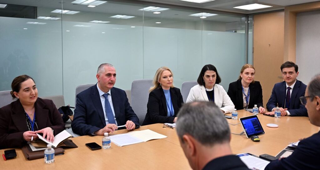 NBG Chair and Finance Minister hold talks with IMF Middle East and Central Asia Director