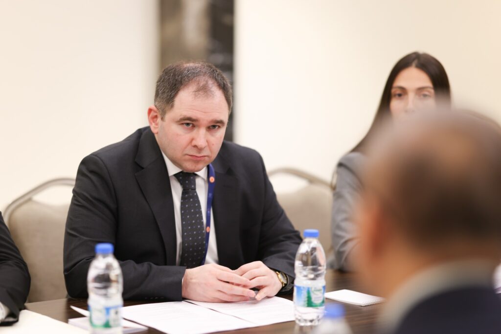 Foreign Relations Committee Chair sees unfair attitude of Brussels in inability to advance on European integration path by Georgia, North Macedonia