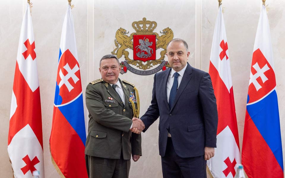 Georgian, Slovak Defense officials discuss military cooperation and security