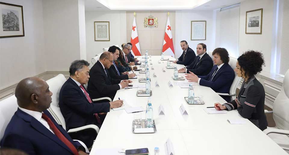 rakli Kobaxidze BMT-də akkreditə olunmuş müxtəlif ölkələrin daimi nümayəndələri ilə görüşüb