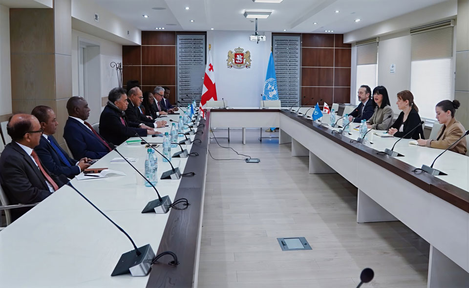 State Minister meets UN-accredited ambassadors