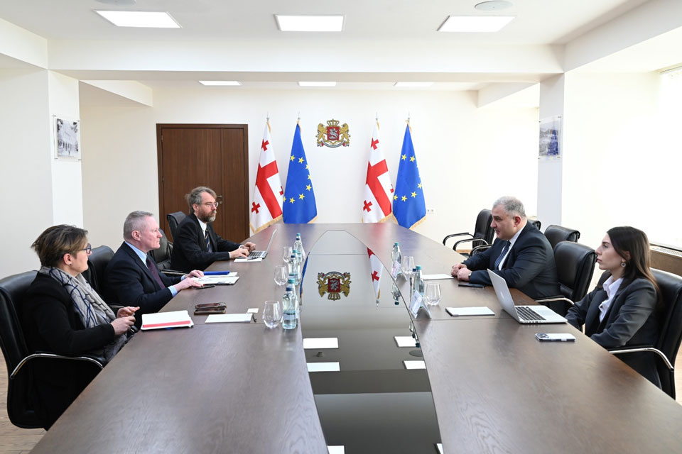 Georgia's Health Minister meets CoE Human Rights Commissioner