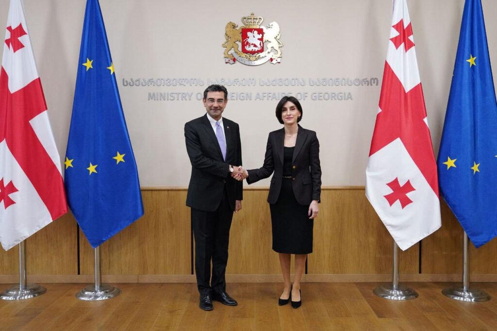 Georgian FM meets newly appointed Turkish Ambassador