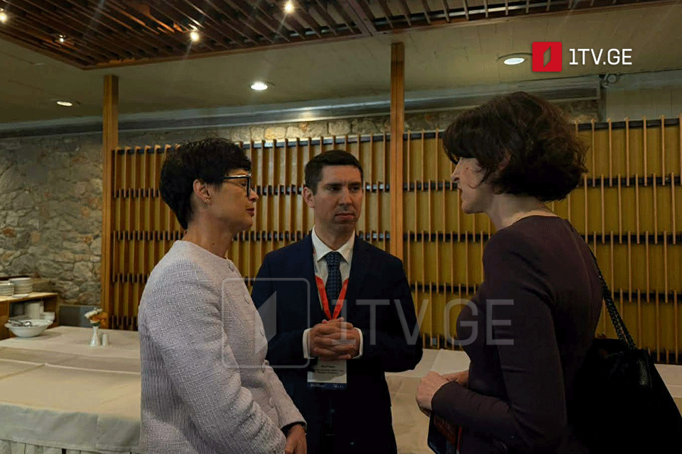 Georgia’s FM attends workshop on ‘Security as New Accession Pillar’ at Delphi Forum in Greece