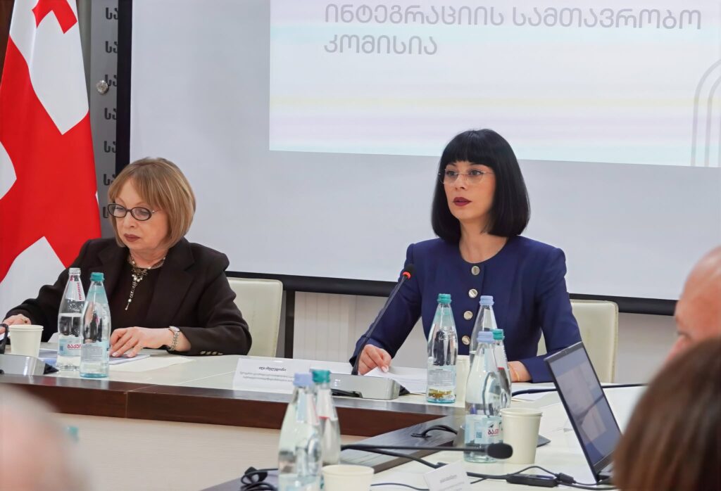 State Minister Tea Akhvlediani leads expanded session of government commission on civil equality and integration