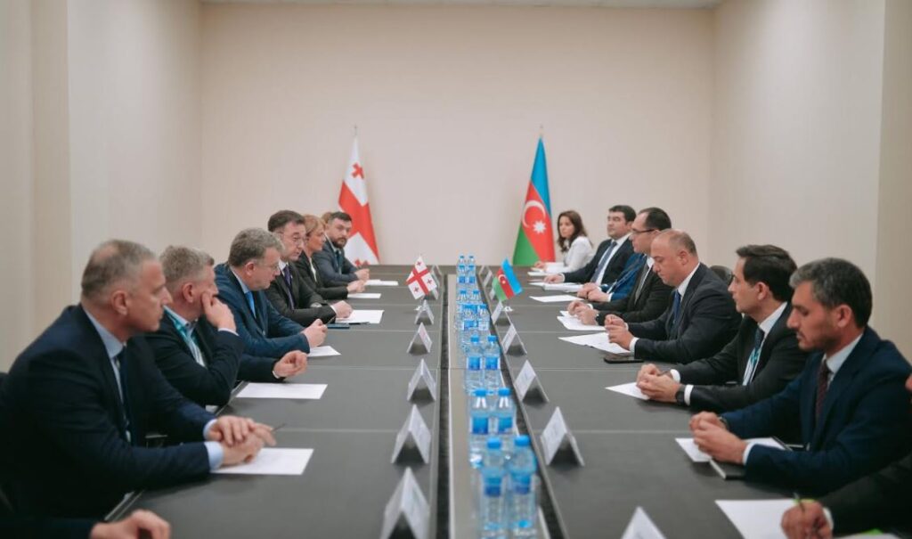 Agriculture Minister meets Azerbaijan's counterpart in Baku