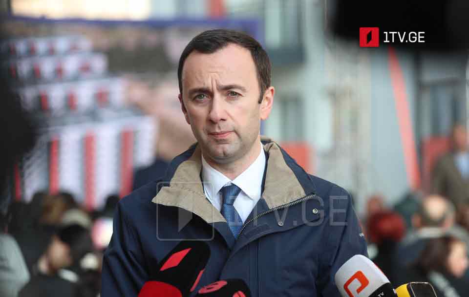 MP Makhashvili: Whether EP passes one or thousand resolutions based on narrow political goals is no longer of concern to us
