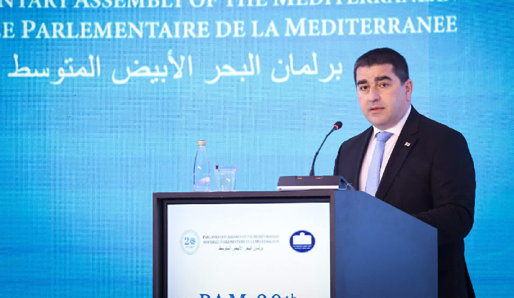 Շալվա Պապուաշվիլի - Այսօրվա պառակտված միջազգային համակարգը բնութագրվում է աշխարհաքաղաքական լարվածությամբ, տնտեսական անորոշությամբ և փոփոխվող անվտանգության դինամիկայով