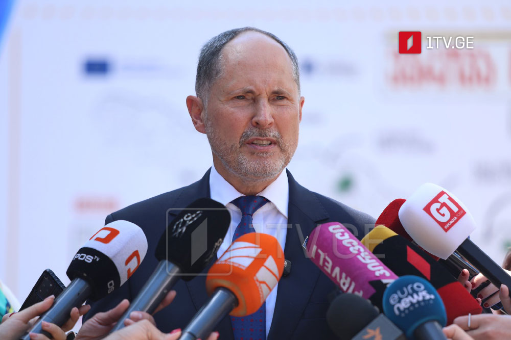 Pavel Herçinski – Əgər Gürcüstan hakimiyyəti Avropa İttifaqına üzv olmağı ciddi şəkildə nəzərdən keçirirsə, onlar digər bütün ölkələr kimi eyni addımlar və prosedurlardan keçməlidirlər