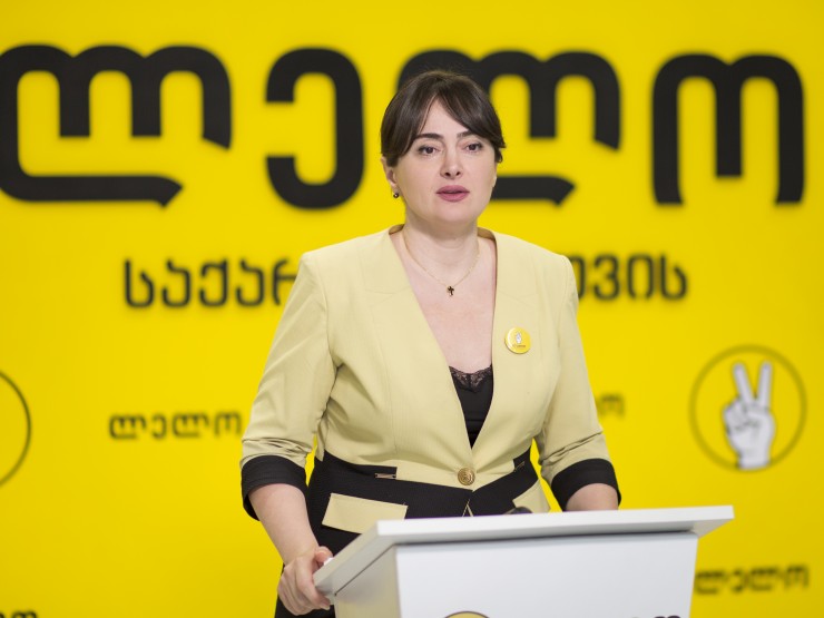 Strong Georgia–Lelo puts forward initiative calling for just and wide-ranging amnesty