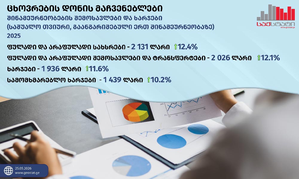 GeoStat: Average monthly household income in Georgia rises by 12.4%