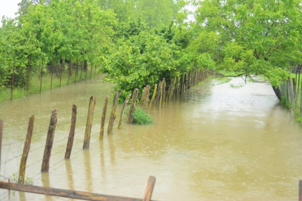 Heavy rainfall disrupts Imereti region: Infrastructure damaged and flooding widespread